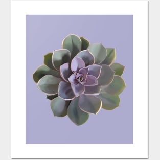 Echeveria // Perle Von Nurnberg V1 Posters and Art